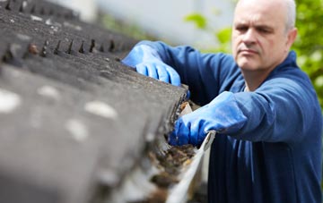 cleaning and inspecting Willey Green roofs