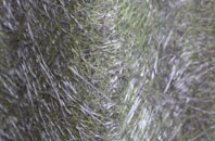 Willey Green fibreglass roof work